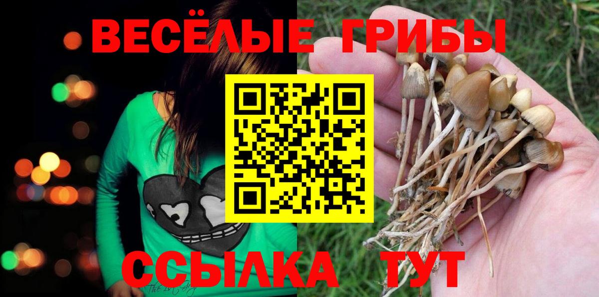 Псилоцибиновые грибы мухоморы Луховицы