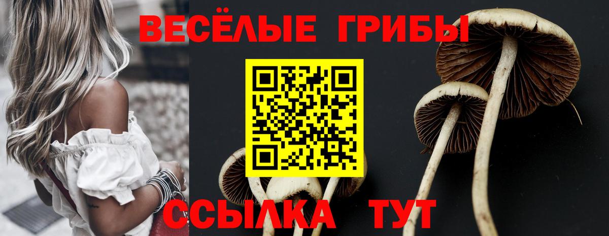 Луховицы  Галлюциногенные грибы мухоморы  Вход с VPN 